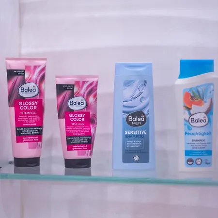 Sanja & Mirza - Old Town * 塞拉耶佛