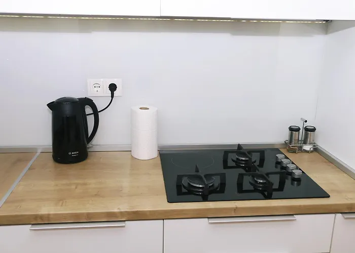 Sanja & Mirza - Old Town 公寓 *